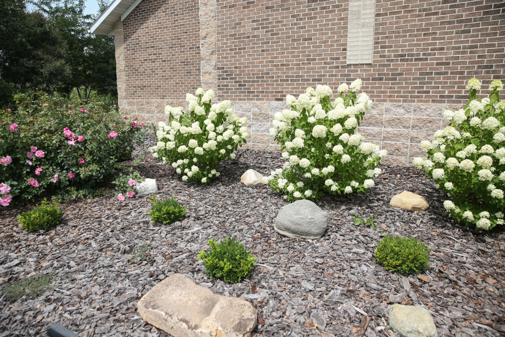 Messiah garden 13